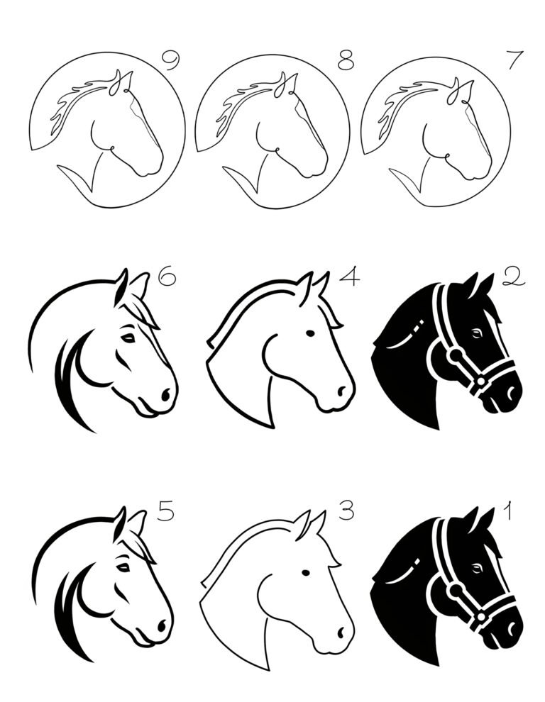 Schermafbeelding 2026-01-21 131223 copy