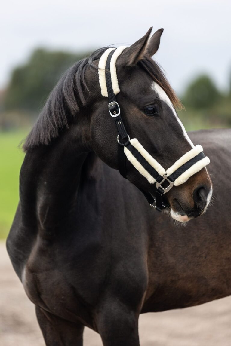 WhatsApp Image 2025-09-30 at 15.05.19